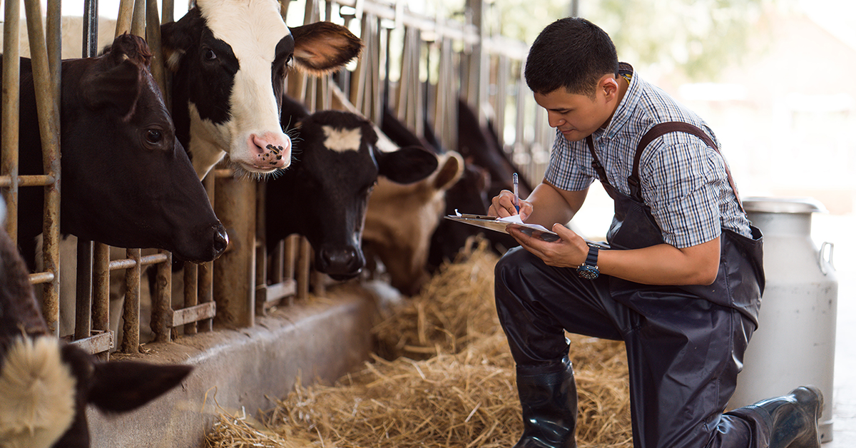 Dairy Group South Africa Devoted to Dairy Manufacturing Outlook