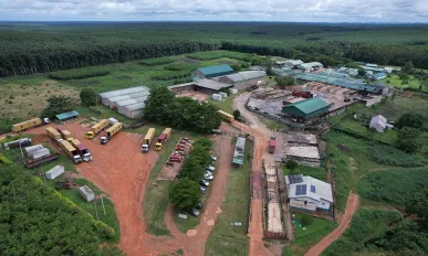 Rubber Estates Nigeria Limited