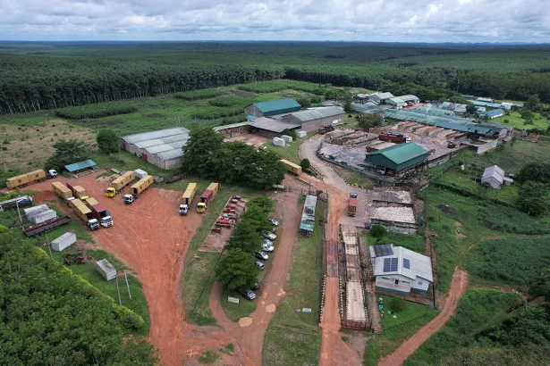 Rubber Estates Nigeria Limited